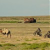 Morze Aralskie